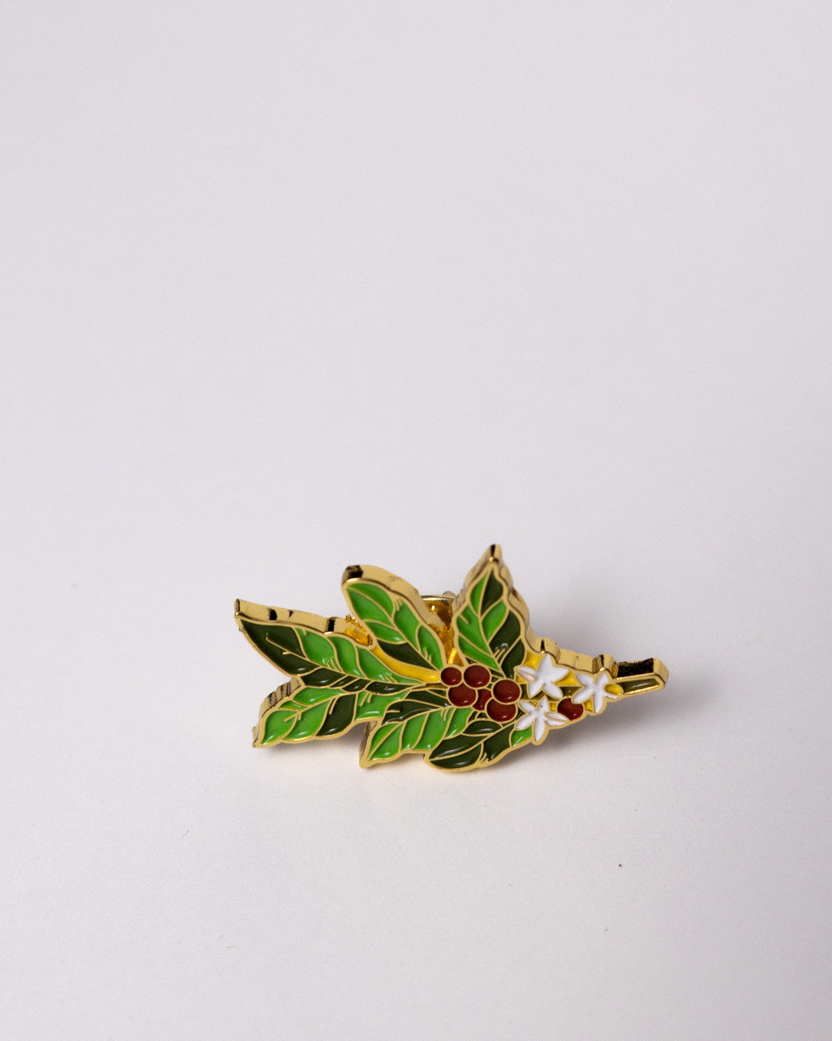 Pin Planta de café